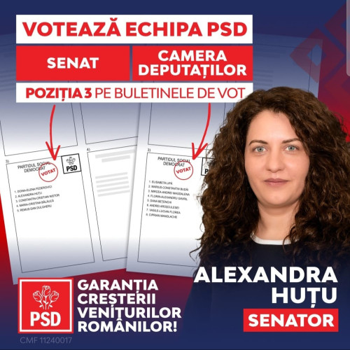 Programele PSD pentru sprijinul familiilor cu copii