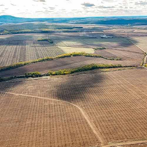 Dorin Bob, antreprenor de top din Transilvania, își extinde afacerea în producția de alune