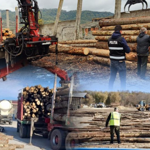 Controale riguroase ale poliției și autorităților forestiere în Vrancea