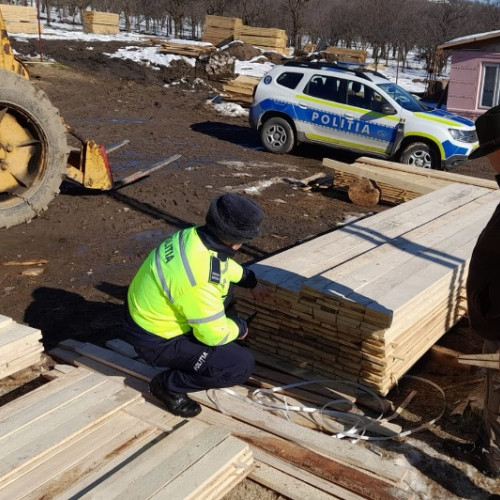 Controale în Vrancea pentru combaterea tăierilor ilegale de lemn