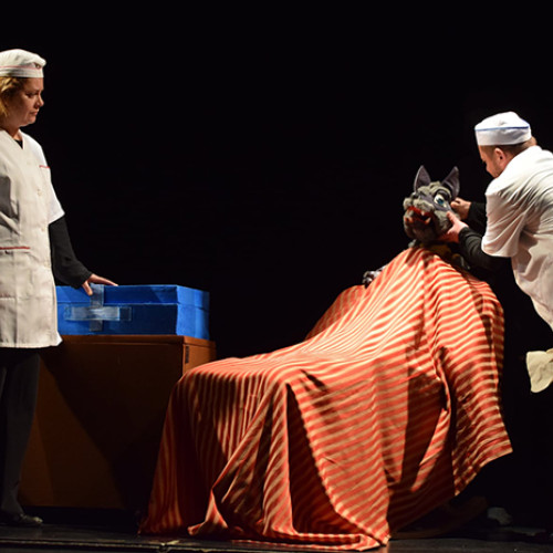 Programul teatrului "Căluțul de Mare" pentru luna noiembrie 2024