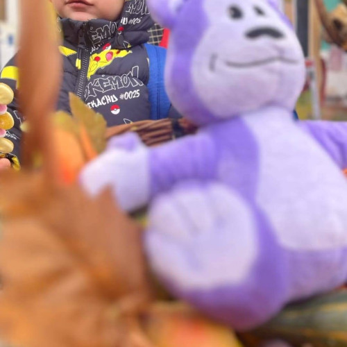 Momente emoționante la Grădinița "Prichindel" din Pucioasa