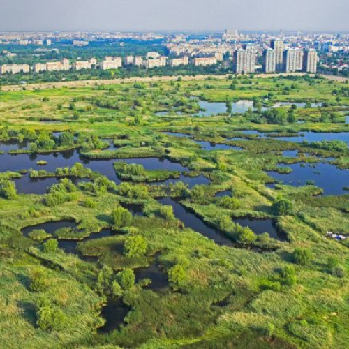 50 de organizații cer aprobatrea de urgență a Planului de Management al Parcului Natural Văcărești