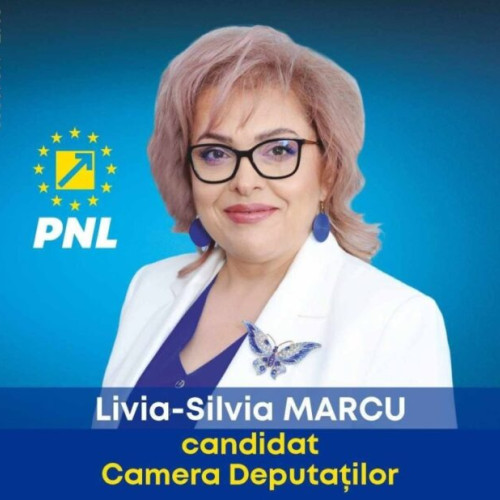 Livia Marcu propune centre after school pentru copii din comunități defavorizate