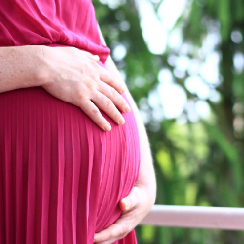 Senatul Italiei a aprobat legea prin care maternitatea surogat devine infracțiune universală