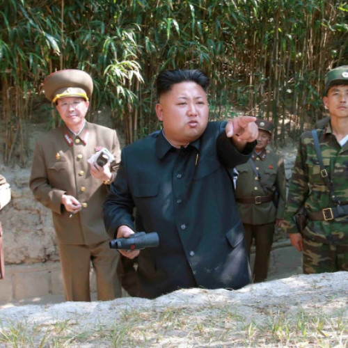 Rolul trupelor nord-coreene în războiul din Ucraina