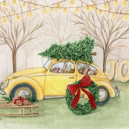 Moș Crăciun își așteaptă vizitatorii în Baia Mare