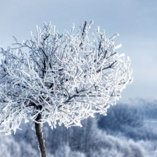 Temperaturile vor fi mai scăzute decât normal până la mijlocul lunii decembrie