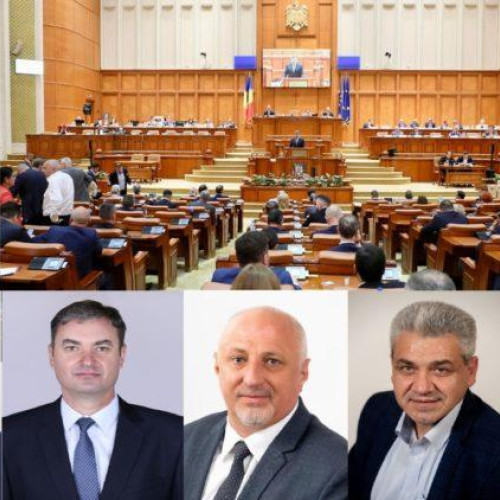 Parlamentarii din Botoșani: Atribuții, accesibilitate și transparență