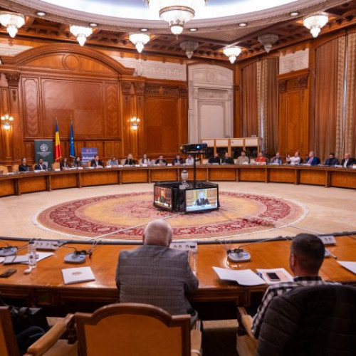 Ilfov devine exemplu pozitiv în bunăstarea animalelor