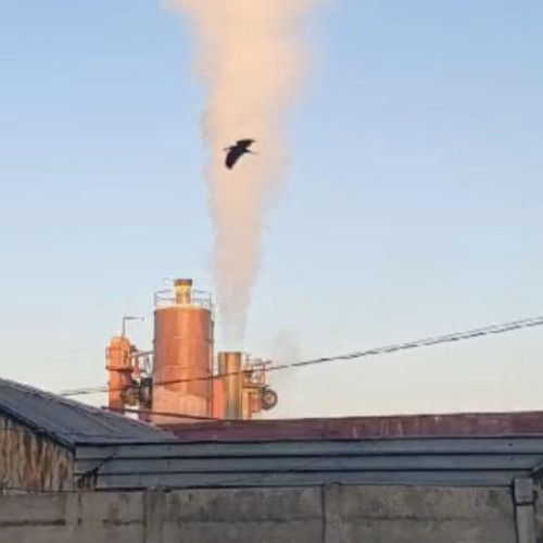 Garda de Mediu Botoșani amendează un operator comercial din cauza poluării