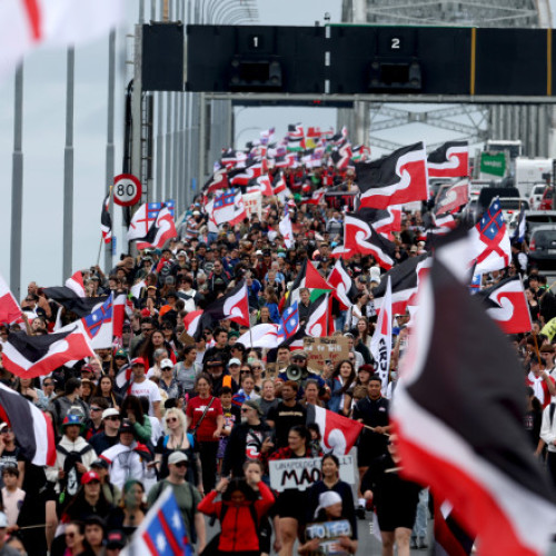 Zeci de mii de persoane protestează în fața Parlamentului din Noua Zeelandă