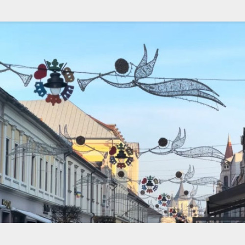 Lucrările pentru iluminatul festiv din Oradea au început