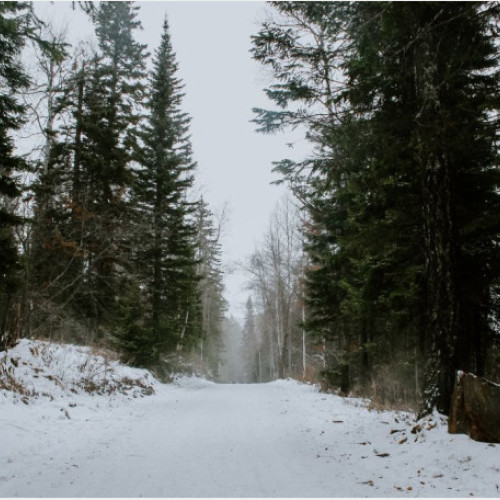 Trei sectoare de drum judetean din Bihor vor fi închise circulației între noiembrie 2024 și aprilie 2025