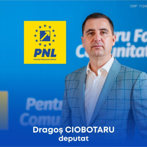 Dragos-Fanica Ciobotaru, candidat pentru deputat în Parlamentul României