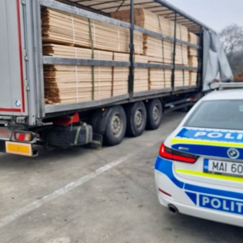 Prindere în flagrant a unui tânăr din Timiș, transportând cherestea ilegal