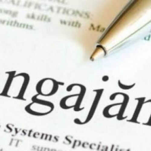 Scoala Profesionala Speciala "Ion Pillat" din Dorohoi angajează informatician debutant
