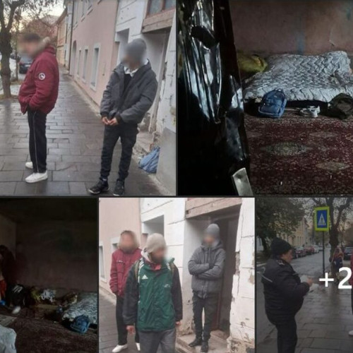 Poliția Locală Bistrița evacuează ocupanți abuzivi dintr-un imobil infestat