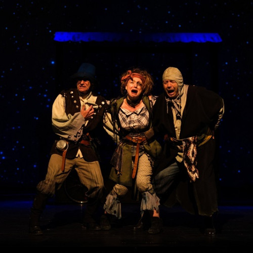 Piesa de teatru despre un măgar, un câine, o pisică și un cocoș, regizată de Vitalie Drucec