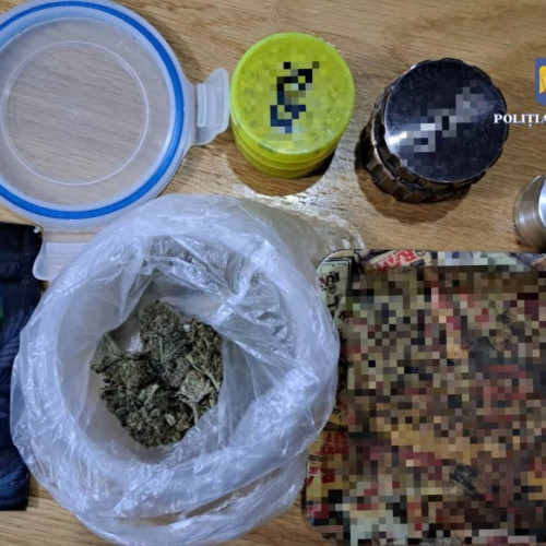 Trei persoane arestate pentru trafic de droguri în Dâmbovița