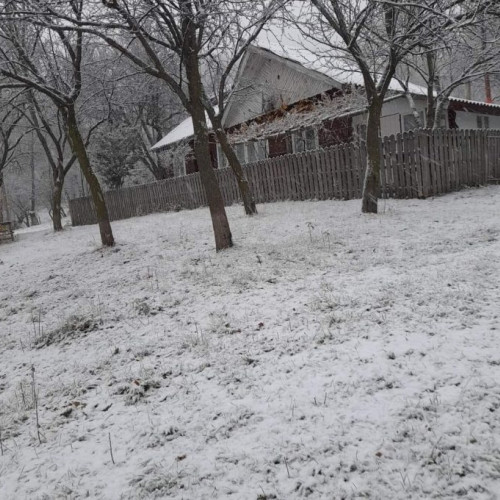 Precipitații în Vrancea: Plouă în câmpie, ninsori la munte