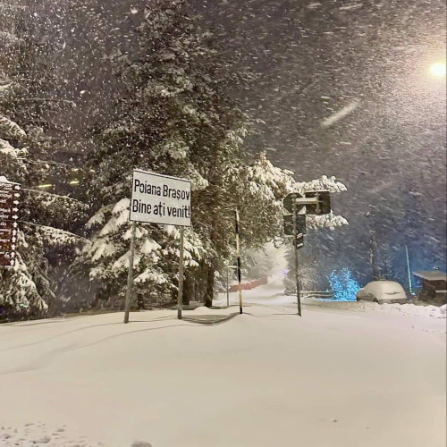 Ninsori abundente în mai multe județe din România