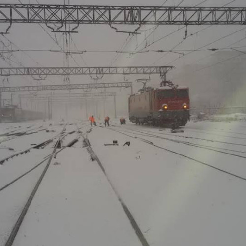 Probleme de trafic feroviar între Timișul de Sus și Dârste