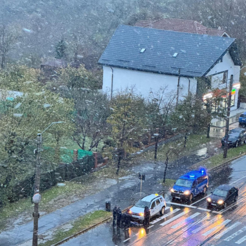 Accident de circulație pe o trecere de pietoni în oraș