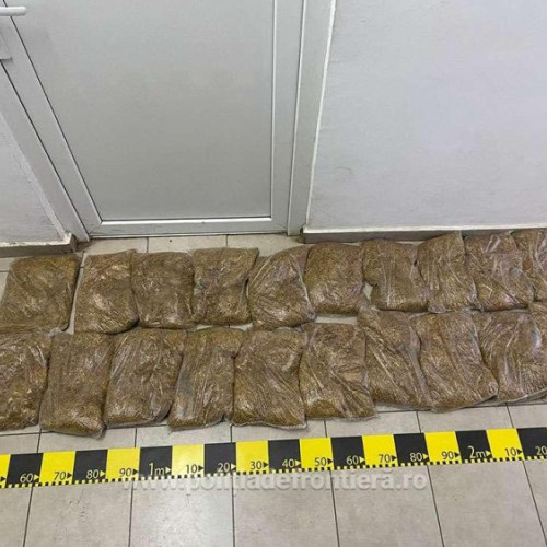Polițiștii de frontieră din Satu Mare, în alertă după descoperirea a zece kilograme de tutun