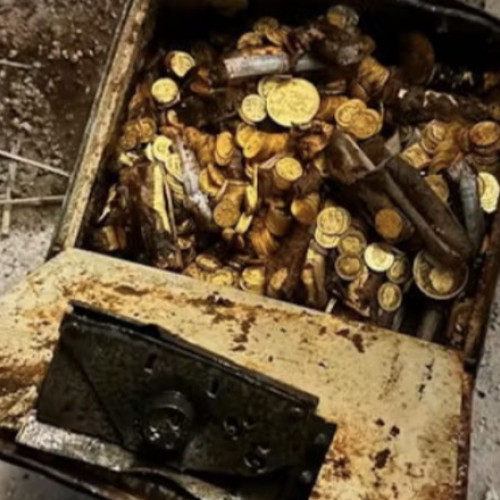 Un instalator din Viena descoperă o comoară de monede din aur