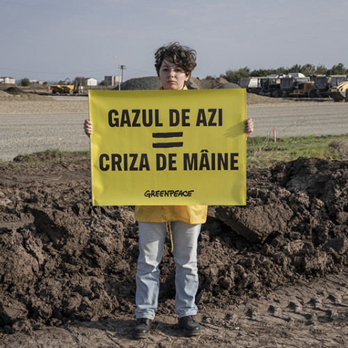 Tribunalul București obligă autoritățile să comunice informații despre ecotoxicitate pentru proiectul Neptun Deep