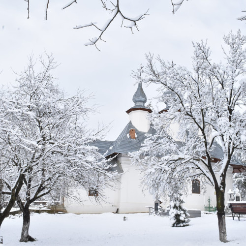 Prima ninsoare a iernii aduce bucurie și avertizări meteorologice
