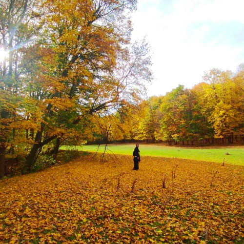 Manastirea Vorona: Un loc plin de istorie și frumusețe naturală în județul Botoșani