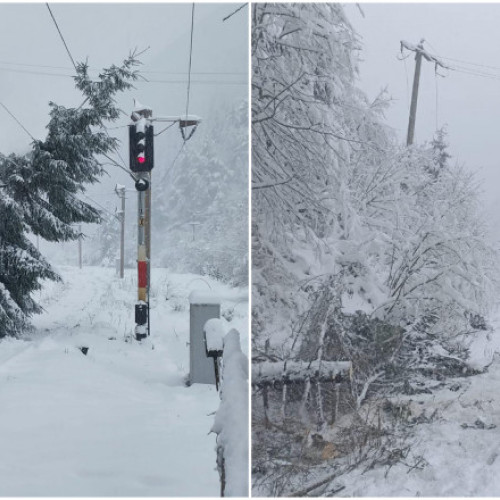 Vremea extremă perturbă traficul feroviar în zonele afectate de Cod galben și Cod portocaliu