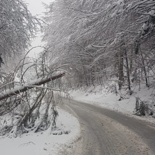 Vremea extremă provoacă blocaje severe în Harghita
