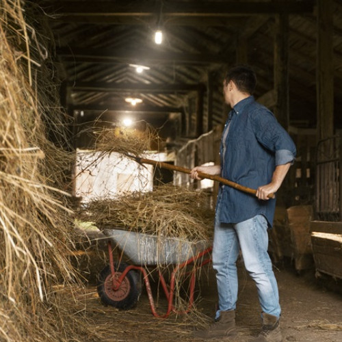 Investiție aprobată pentru protecția mediului în comuna Cumpăna