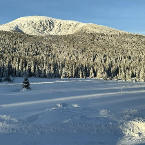 Iarna ca în povești la Poarta Raiului din Șureanu