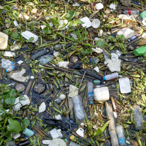 Ţările sunt chemate să reducă producția de plastic, avertizează ministrul norvegian