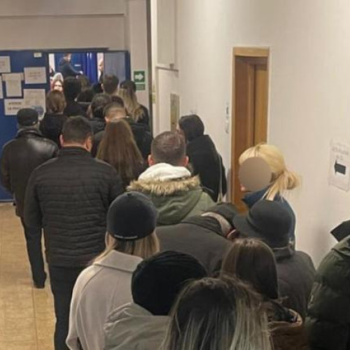 Tinerii se mobilizează pentru alegerile prezidențiale în România