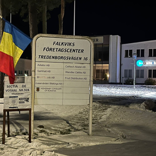 Românii din Suedia organizează votul pentru consilierii românești