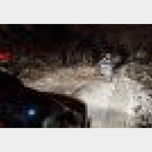 Pompierii bihoreni luptă cu copacii căzuți din cauza zăpezii