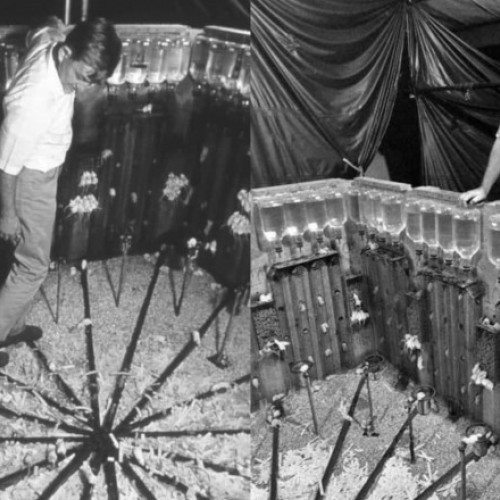 Experimentul lui John B. Calhoun: O analiză a suprapopulării la rozătoare