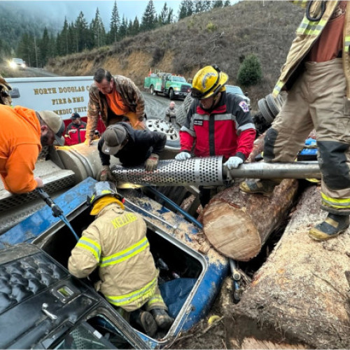 Taiwan, sectorul silvic în criză din cauza accidentelor mortale