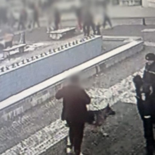 Italain mustrat de poliție în Centrul Istoric pentru că plimbă un câine mare fără botniță