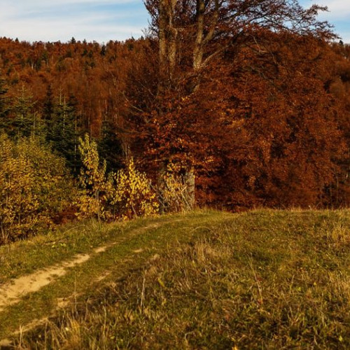 Prognoza meteo pentru sfârșitul lunii noiembrie și începutul lunii decembrie
