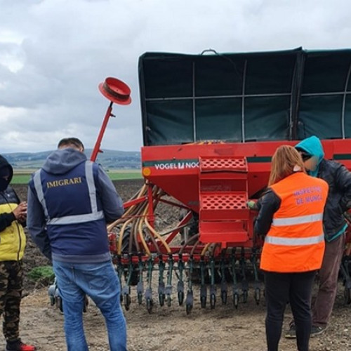 Campanie de verificare a respectării legislației muncii în transportul rutier la Botoșani