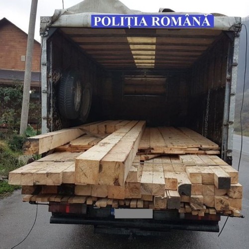 Descoperire de lemn ilegal în Păltiniș de către polițiștii din Darabani