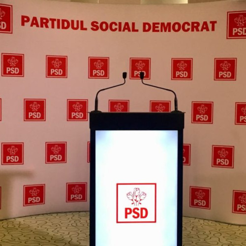 PSD va decide aliança după alegerile parlamentare din 1 decembrie