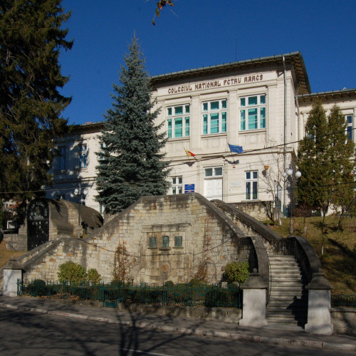 Performanțe remarcabile ale elevilor Colegiului Național "Petru Rareș" la competiții de chimie