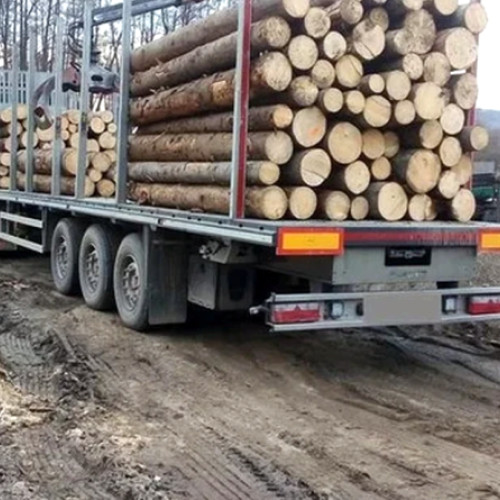 Amenzi de 59.000 de lei pentru nereguli în domeniul transportului și depozitării lemnului în Hunedoara